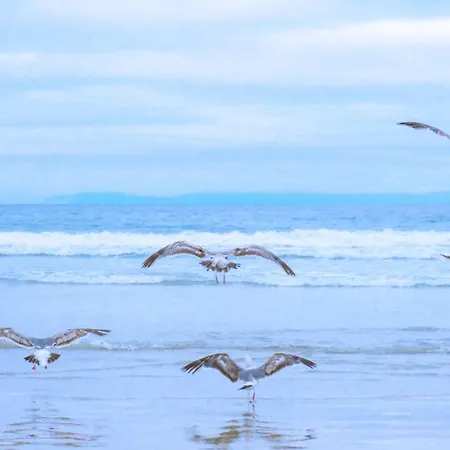 De Deining - Aan Zee Σπίτι διακοπών