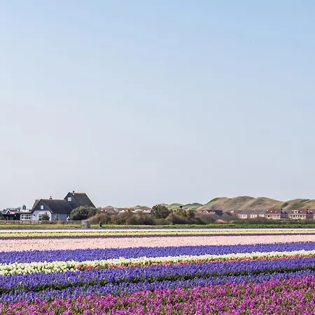 De Deining - Aan Zee *