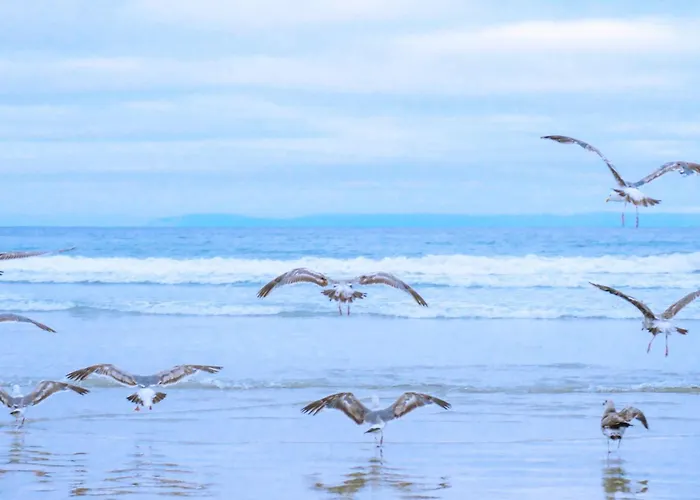 De Deining - Aan Zee Holiday home